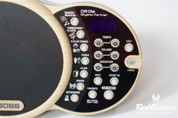 DR-01S Rhythm Partner